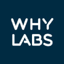 WhyLabs AI Observatory